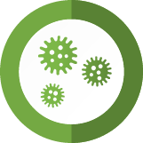 Mold Testing Pros