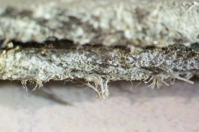 Asbestos Abatement in Essex County, NJ
