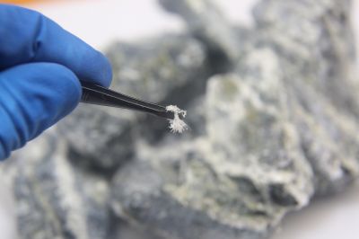 Asbestos Service in Essex County, NJ