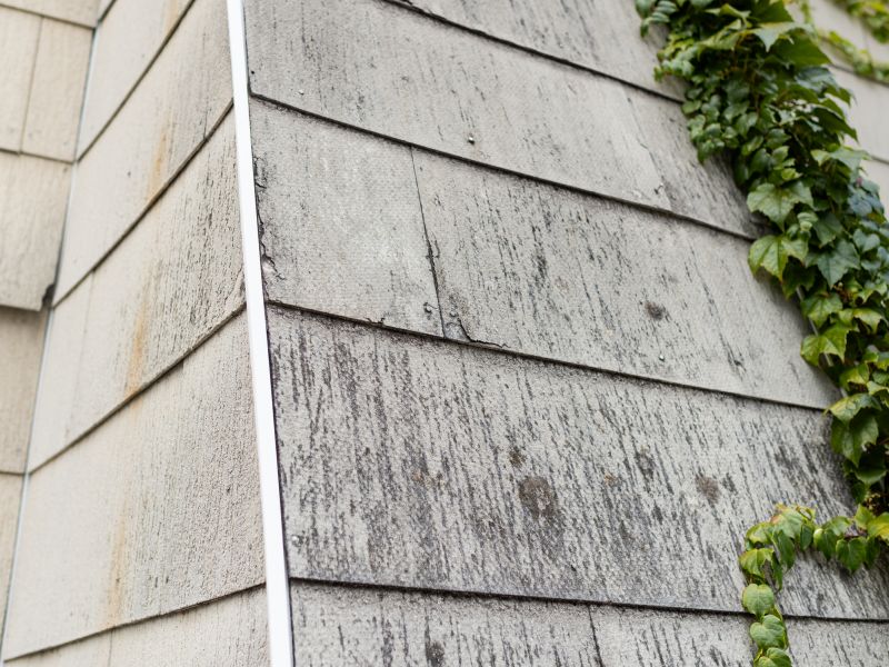 Asbestos Service in Freehold, NJ