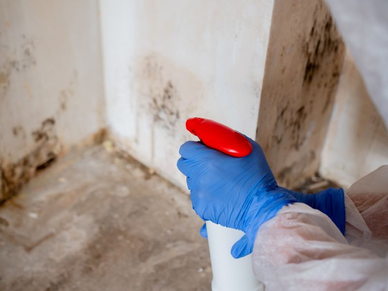 Attic Mold Remediation in Jupiter, FL