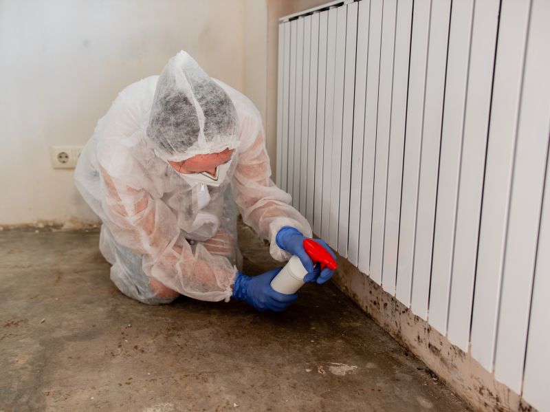 Attic Mold Removal in Frisco, TX