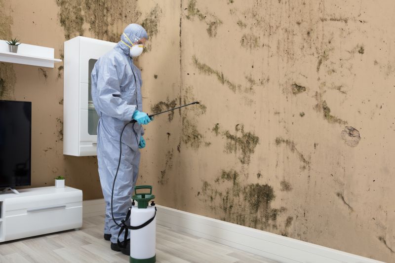 Black Mold Removal in Denton, TX