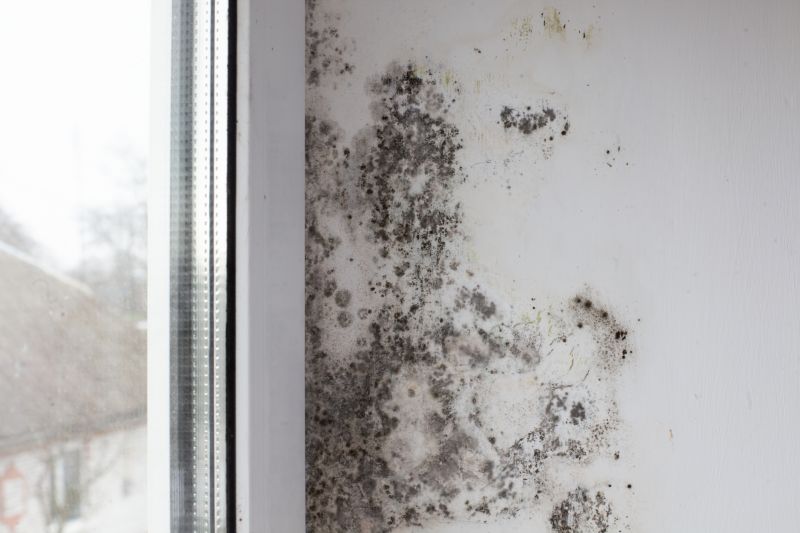 Ceiling Mold Removal in Bergen County, NJ