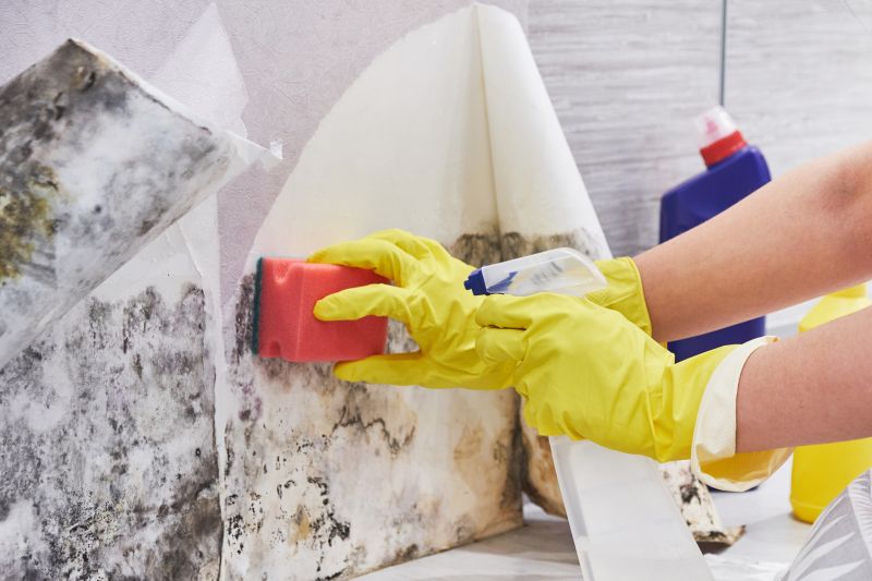 Crawl Space Mold Removal in West Palm Beach, FL