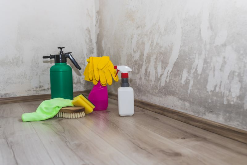 Crawlspace Mold Remediation in Fort Worth, TX