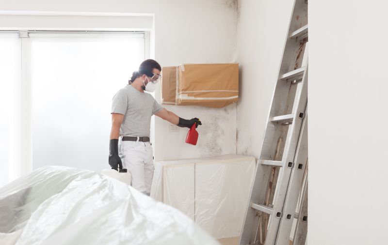 Garage Mold Remediation in Essex County, NJ