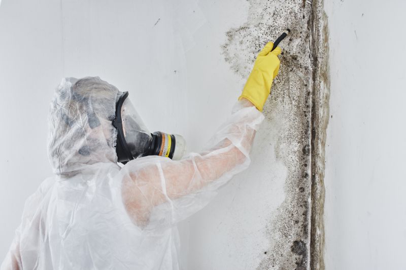 Mold Abatement in Rockwall, TX