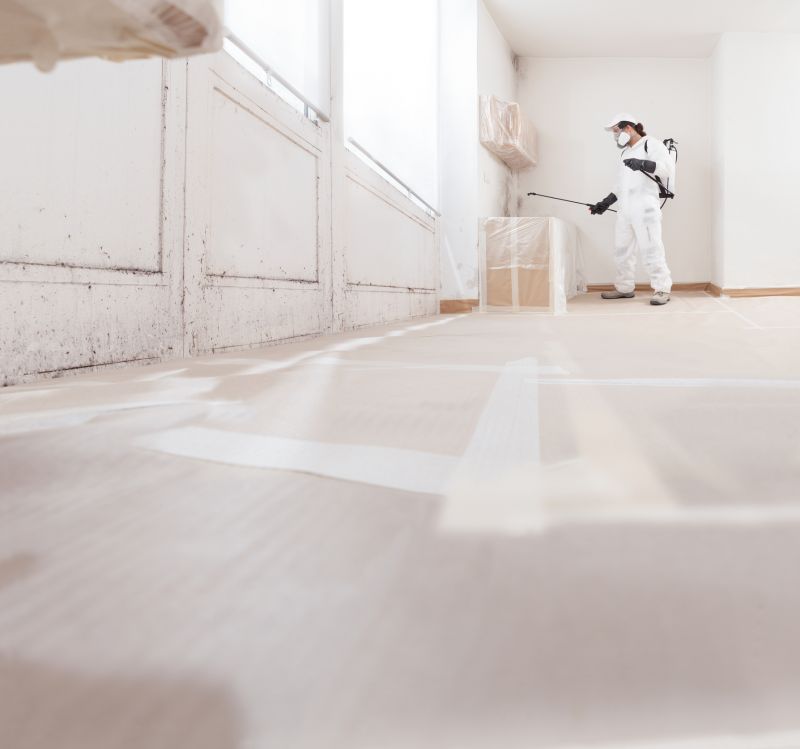 Mold Abatement Service in Jupiter, FL