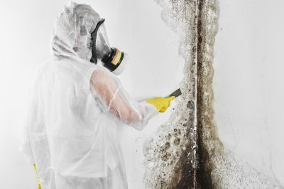 Mold Inspection And Removal in Pompano Beach, FL