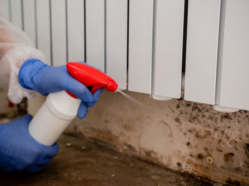 Mold Remediation Service in Fort Lauderdale, FL