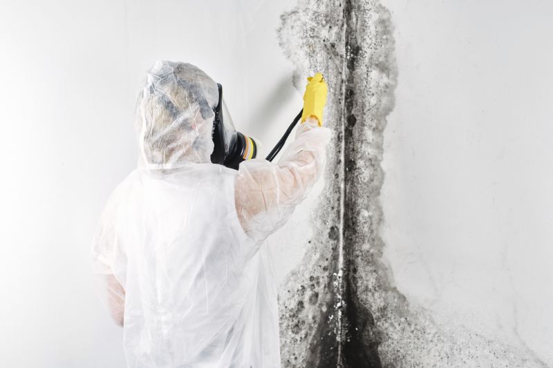 Mold Removal in Essex County, NJ