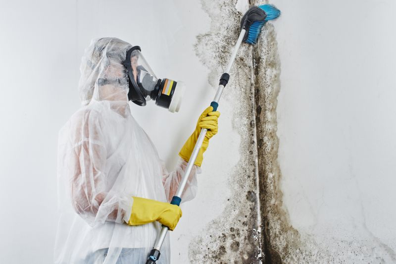 Mold Restoration in West Palm Beach, FL