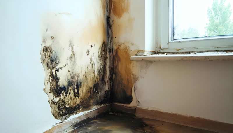 Mold Restoration in Bergen County, NJ
