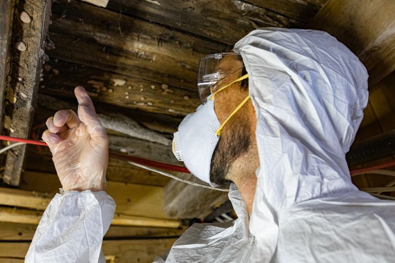 Understanding Mold Testing Costs — Cost of Mold Testing