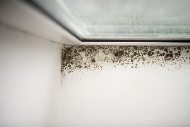 Indoor Mold Growth