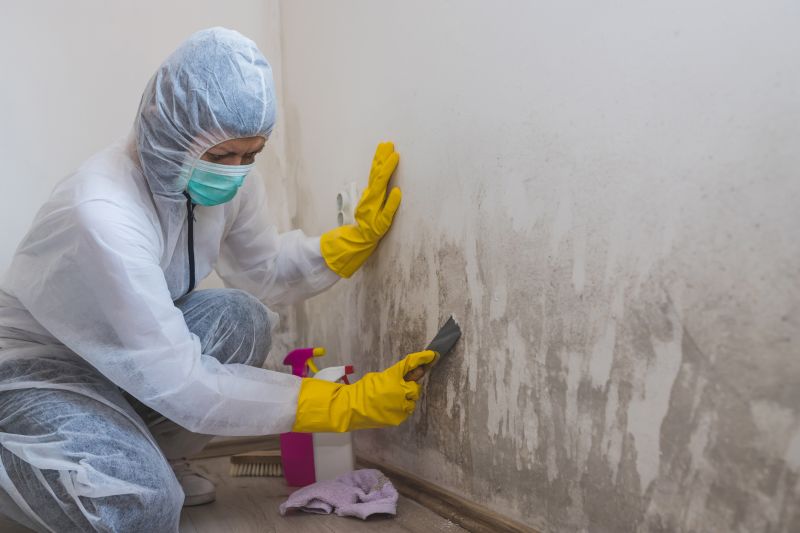White Mold Mitigation in Fort Lauderdale, FL