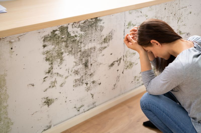 Attic Mold Removal in Frisco, TX