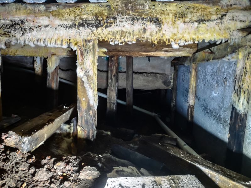 Basement Mold Remediation in Fort Lauderdale, FL