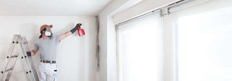 Crawl Space Mold Removal in Bergen County, NJ