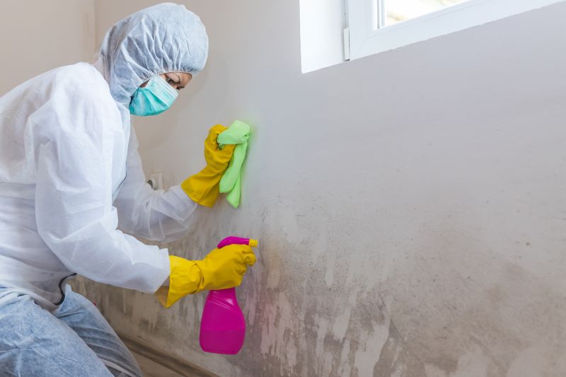 Crawlspace Mold Remediation in Fort Worth, TX