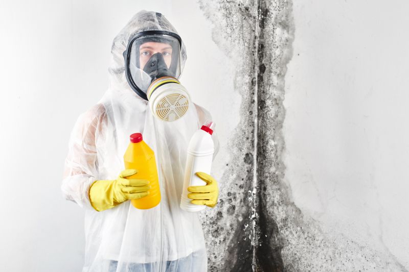 Mold Cleanup Service in Jupiter, FL