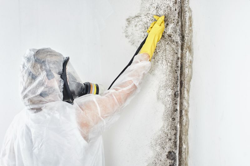 Mold Control in Denton, TX