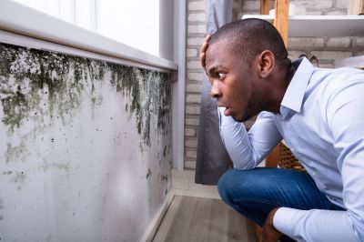 Mold Control in Delray Beach, FL