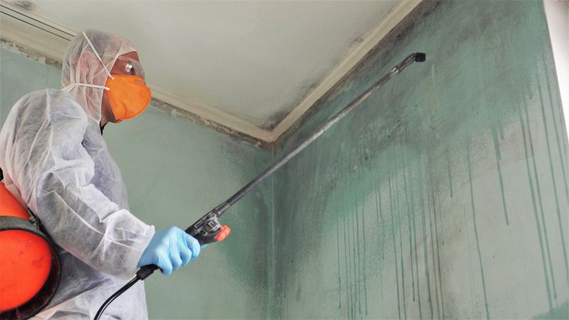 Mold Removal in Essex County, NJ