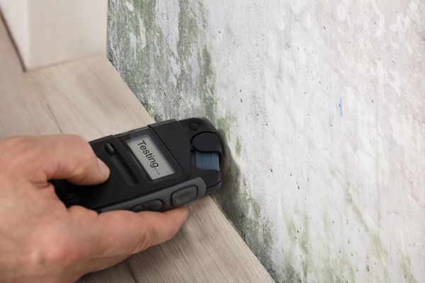 Indoor Air Mold Testing