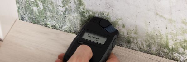 Shower Mold Testing